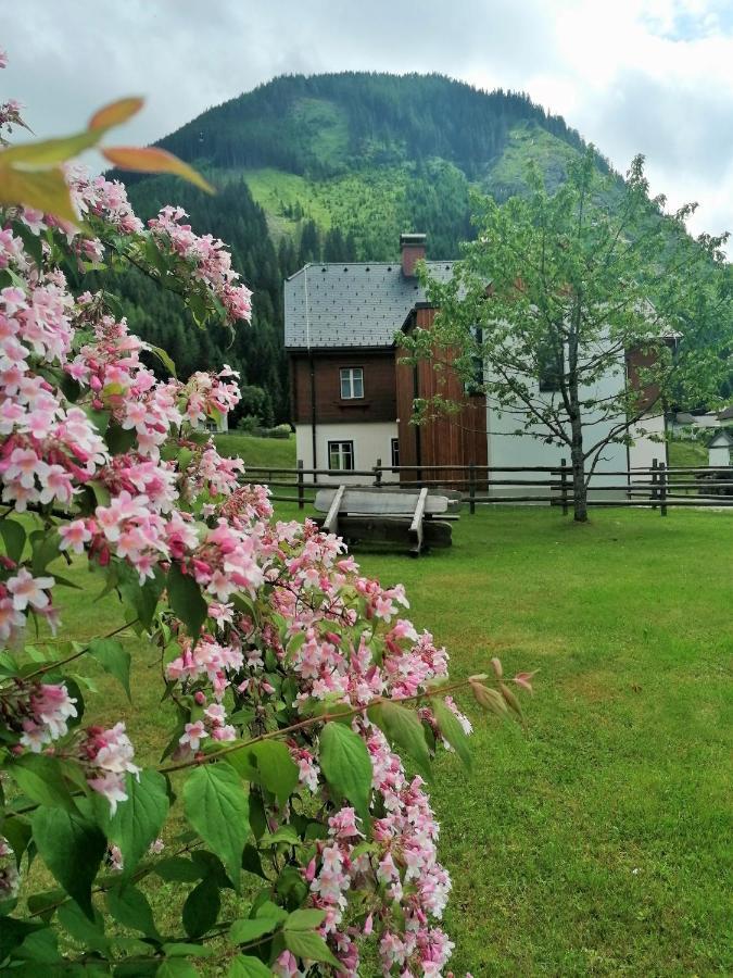 Апартаменти Himmlisch Urlauben St. Nikolai Sankt Nikolai im Solktal Екстер'єр фото